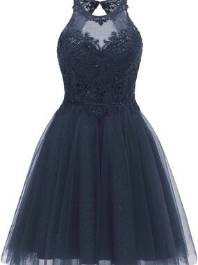 formal dress with scarf around neck Light Blue Lace Spaghetti Straps Homecoming Dresses, Short Prom Dresse –  Simidress main image 0